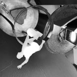 Artwork für "Sculpture"