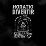 Artwork for "Divertir"