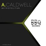 Artwork for "Metropolitan"