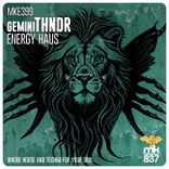 Artwork voor "Energy Haus"