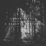 Artwork voor "Amber Forest"