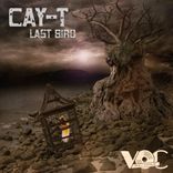 Artwork for "Last Bird"