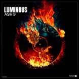 Artwork for "Luminous"