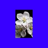 Artwork for "Departure"