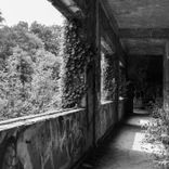 Artwork für "Dark Forest"