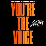 Artwork for "You're The Voice"