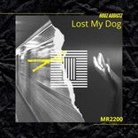 Artwork for "Lost My Dog"