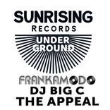 Artwork for "The Appeal"