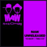 Artwork for "The Amazon / Tribal Flute"