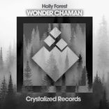 Artwork for "Wonder Chaman"