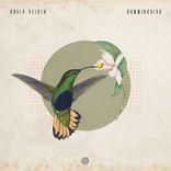 Artwork for "Hummingbird"