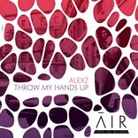 Artwork voor "Throw My Hands Up"