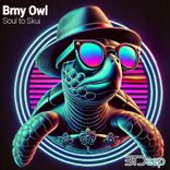 Artwork voor "Soul to Skui"