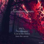 Artwork voor "Noviomagum"