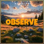 Artwork for "OBSERVE"