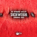 Artwork voor "Derwish"