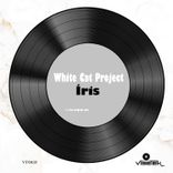 Artwork voor "Íris"