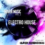 Artwork for "Sliver Music: Electro House, Vol.2"