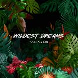 Artwork for "Wildest Dreams"