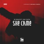 Artwork voor "She Came"