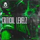 Artwork for "Critical Levelz"