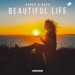 Artwork for "Beautiful Life"