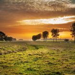 Portada para "Tiet vur een lied"