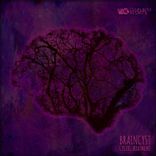 Artwork für "Cystic Treatment"