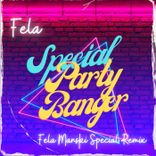Artwork voor "Special Party Banger (Fela Manski Special Remix)"