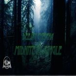 Artwork für "Midnite In Jungle"