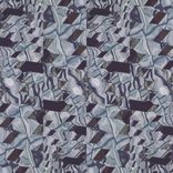 Portada para "The Hope"