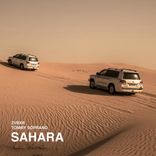 Artwork for "Sahara"