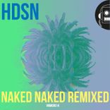 Artwork für "Naked Naked Remixes"
