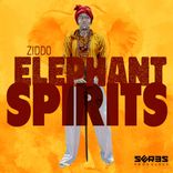 Artwork for "Elephant Spirits"