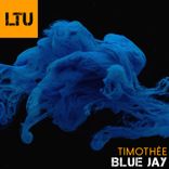 Artwork for "Blue Jay"