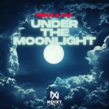 Artwork for "Under The Moonlight"