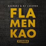 Portada para "Flamenkao"