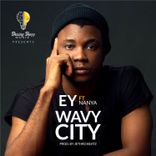 Portada para "Wavy City"