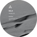 Artwork for "Salsita"