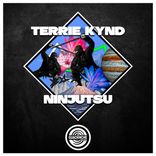 Artwork for "Ninjutsu"