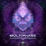 Artwork für "Accidental Transcendental"