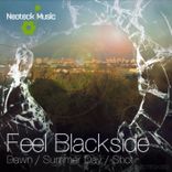 Portada para "Dawn / Summer Day / Shot"