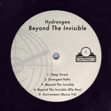 Artwork voor "Beyond The Inviible"