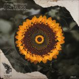 Artwork for "Flor Del Sol"