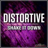 Artwork for "Shake It Down"