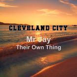 Portada para "Their Own Thing"