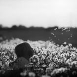 Artwork for "Baïkal"