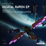 Artwork for "Digital Raven"