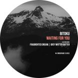 Artwork voor "Waiting for You"