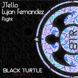 Artwork for "Flight"